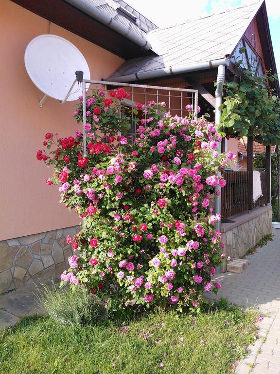 Valentin Vendeghaz Hotel Balatonlelle Luaran gambar